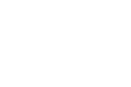 Client logo Original Software