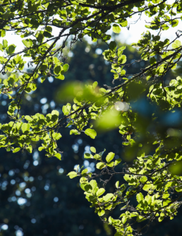 Alderbrook Location Photography 3